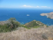 Whites Catalina 2005 04884.JPG: 2005/07/25 - Catalina - 2005